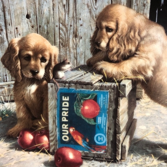 Cocker Spaniel Bundle of Vintage Items - Picture 10 of 16